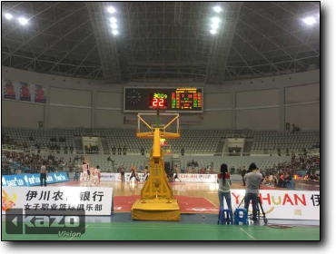 中国女子篮球联赛