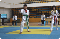 Poomsae Match Photo