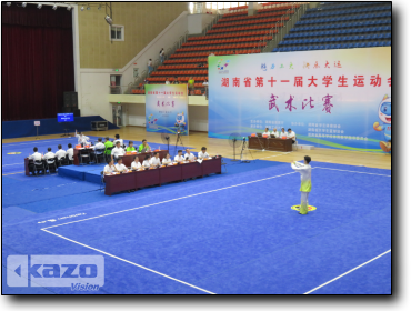 湖南省第十一届大学生运动会武术比赛